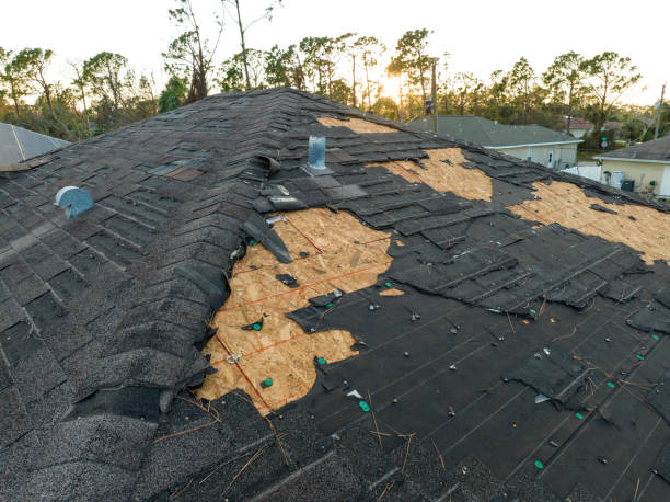 Best Rubber Roofing (EPDM, TPO)  in Pato, WA
