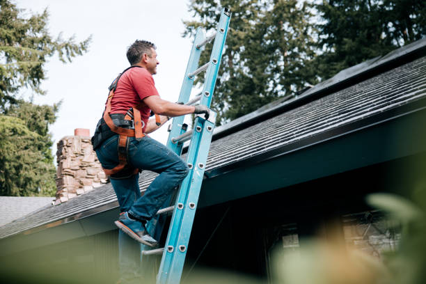 Best Asphalt Shingles Roofing  in Pato, WA